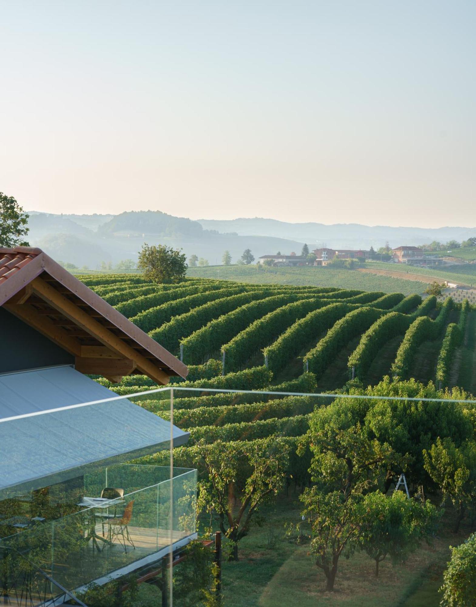Vineho Apartamento Barolo