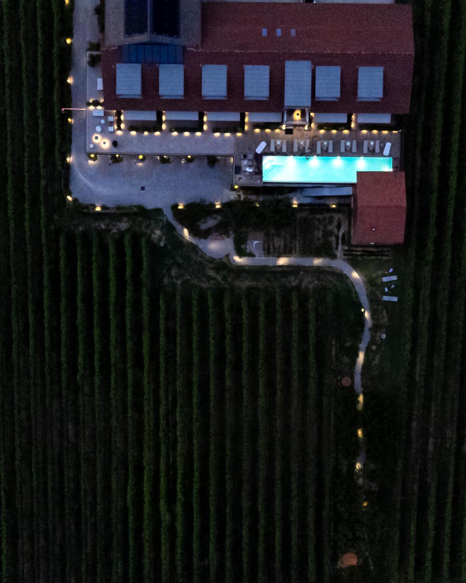 Vineho Barolo